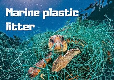 Latest research! Growing ocean plastic waste could cause invasive alien species!